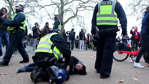 Woman Screaming Whilst being Arrested Hyde Park 28/11/20