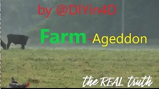 D.I.Y Farming The Real Truth | Why it is So Difficult | D.I.Y in 4D