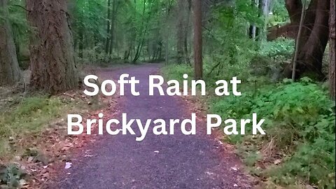 A light rainy day at Brickyard Park