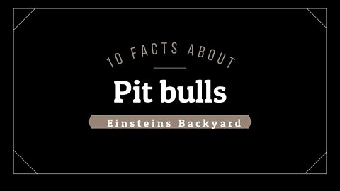 Einsteins Backyard Ep 10 - 10 Facts about Pit bulls