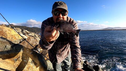 Jetty Fishing for Rockfish