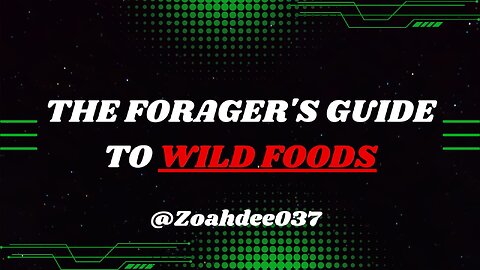 The foragers guide to wildfoods