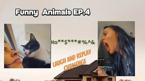 Funny Animal Viral videos ep#4 - Ultimate LOL: Hilarious Cats and Dogs That Will Melt Your Heart! 😂🐾