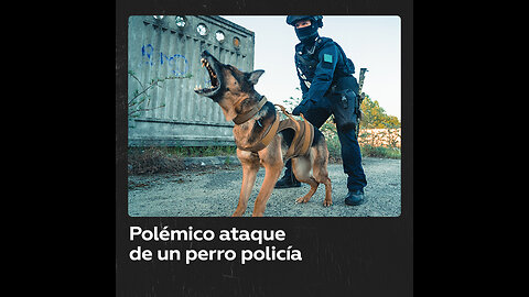 Un perro de la policía ataca a un hombre desarmado tras una persecución