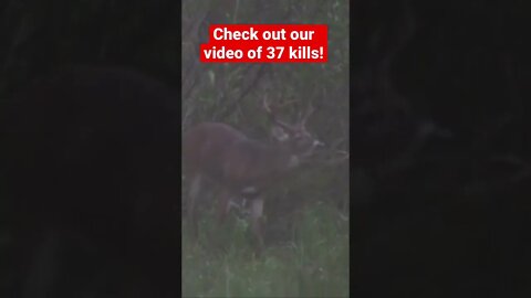 Georgia Deer Gets Smoked! KILL SHOT Part 2