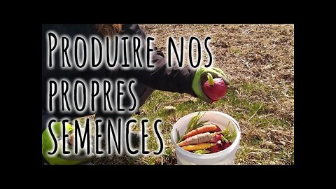 On se prépare pour produire nos semences