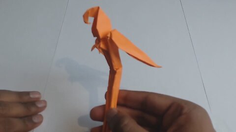 Origami Tutorial: Parrot (Macaw) Step-by-Step Guide