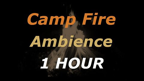 Camp Fire Night Ambience