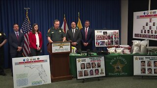 41 members of Bloods-affiliated Sex Money Murder gang arrested in Florida