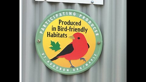 MAPLE SYRUP GOES DIVERSITY - OF TREES ON THEIR LAND TO GET BIRD DIVERSITY IN AREA