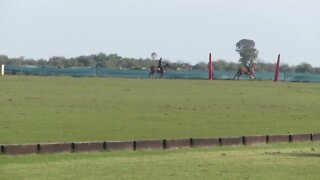 Polo in Argentina