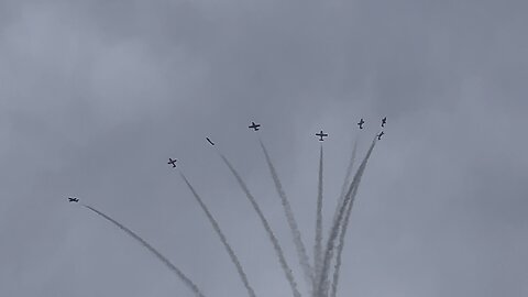 CNE Toronto air show CF snowbirds 3