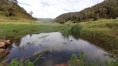 Paradise after the rains by a spring fed creek Part II