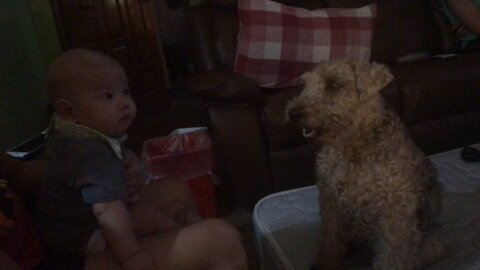 POTUS Oscar the Dog and Baby Elijah have a bonding moment