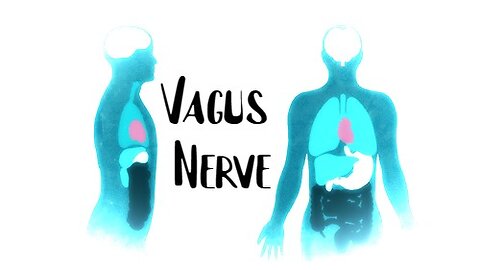 Vagus Nerve