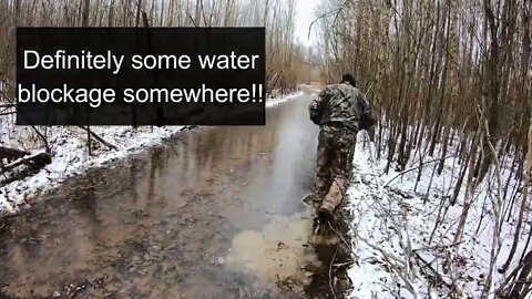 New pond site and excavation project walk in the woods Southern Illinois