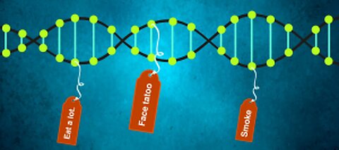 The Epigenetic Reality of Inherited Defective Physical Characteristics & Behavioural Tendencies