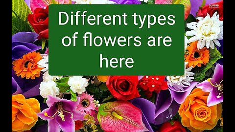 Different types of flowers are here