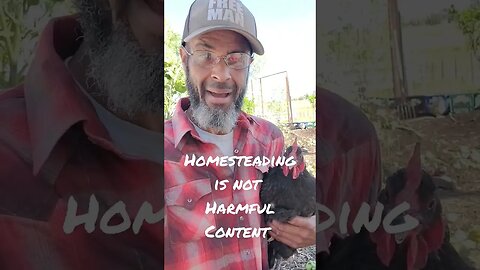 HOMESTEADING is not HARMFUL CONTENT #homesteading #chickens #biochar #compost #farmlife #shorts