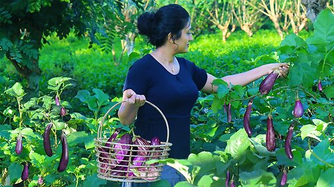 Delicious diet made using fresh brinjal