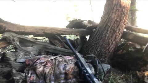 Extended Edition of 2021 Solo Muzzy Deer hunt : Day 5 of 10