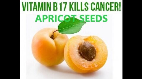 Must Watch a Cancer Cure of Apricot Seeds Hidden Truth Big Pharma Doesn't Want you To Know