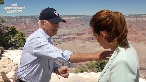 Handsy Biden brushes bug off Stephanie Abrams' chest during Weather Channel interview.