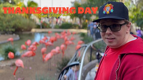 Thanksgiving Day at the San Diego Zoo