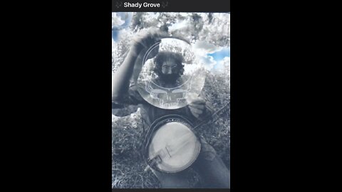 Shady Grove