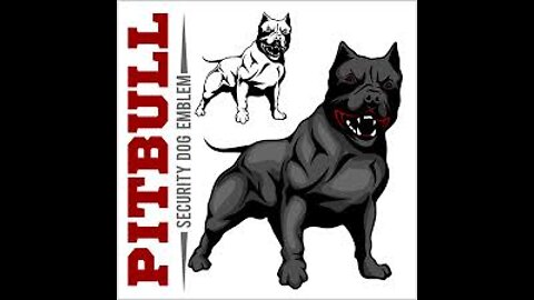 The True Dominance of an Unchallenged Dog | PITBULL ATTACKS OWNER