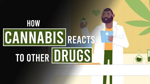 The Interaction Between Cannabis & Other Drugs!