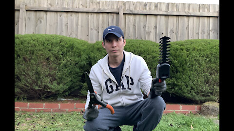 Trimming / Backyard Cleaning - Time Lapse