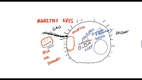 How Does Monkeypox Virus Work?