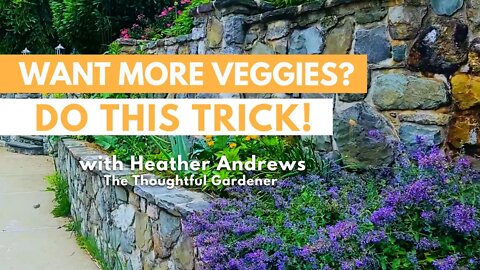 Want more VEGGIES? DO THIS TRICK!