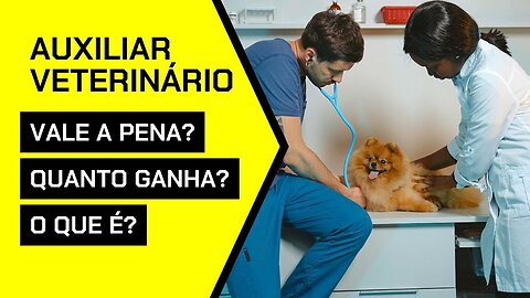 Auxiliar de Veterinário Vale a Pena? O Que é? Quanto Ganha? Como Aprender? Onde Fazer um Curso?