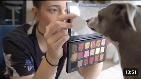 My Dogs Pick My Makeup