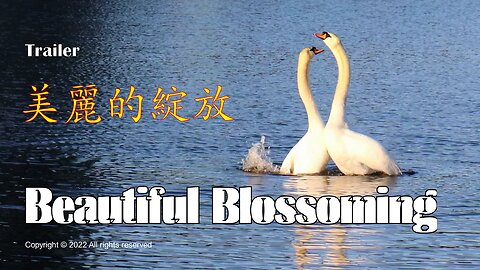 Beautiful Blossoming — Trailer