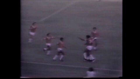 Santa Cruz - Campeonato Brasileiro de 1981