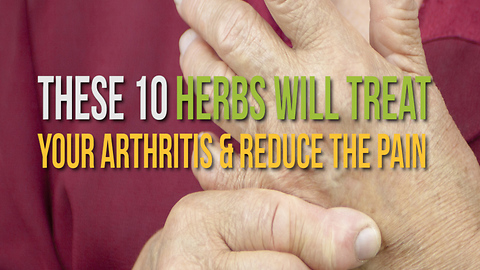 These 10 Herbs Will Treat Your Arthritis & Reduce the Pain