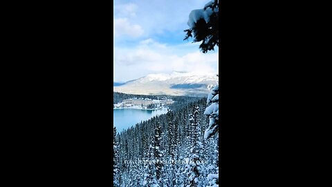 Winter in Switzerland #travel #viral