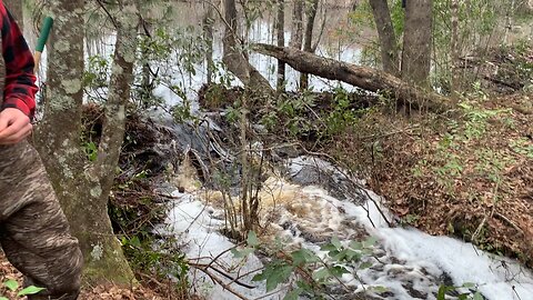 Georgia Beaver Reapers Blowing Beaver Dams