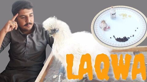 Laqwaa Say || Bacho || 18-10-2023