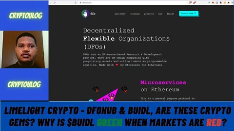 Limelight Crypto - DFOhub & BUIDL, Are These Crypto Gems? Why Is $BUIDL Green When Markets Are Red?