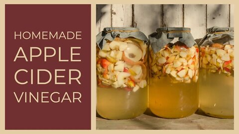 Yes, You Can Make Your Own Apple Cider Vinegar and Save Money!