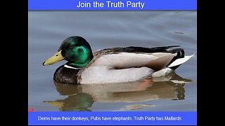 Truth Party Radio