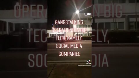 Gangstalking Operations in Big Tech Companies(2)