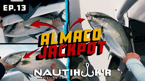 HUGE HAUL! | FINDING THE ALMACO JACK-POT | Fishing North Carolina