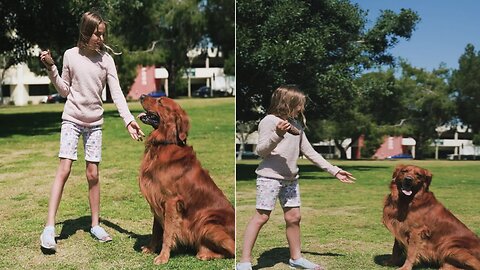 Girl playing with dog