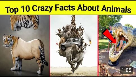 Top 10 crazy facts about animals 😅