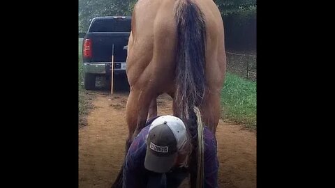 Allie the Wonder Horse Pooped Cowboy